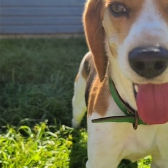 Meet your Posher, Yasime - Picture 1 of 1